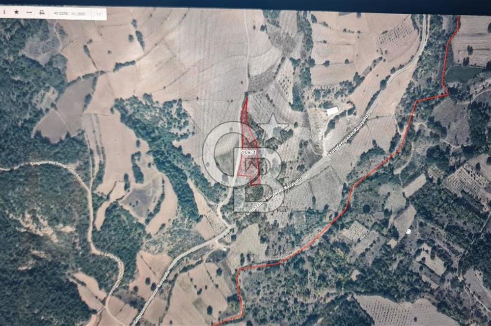 BİLECİK GÖLPAZARI ÇENGELLERDE SATILIK ARAZİ