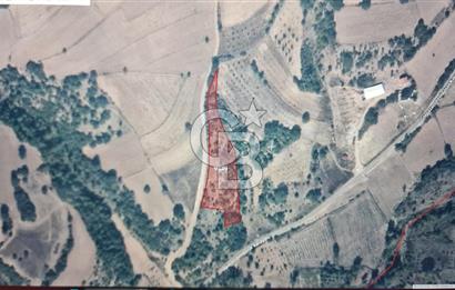 BİLECİK GÖLPAZARI ÇENGELLERDE SATILIK ARAZİ