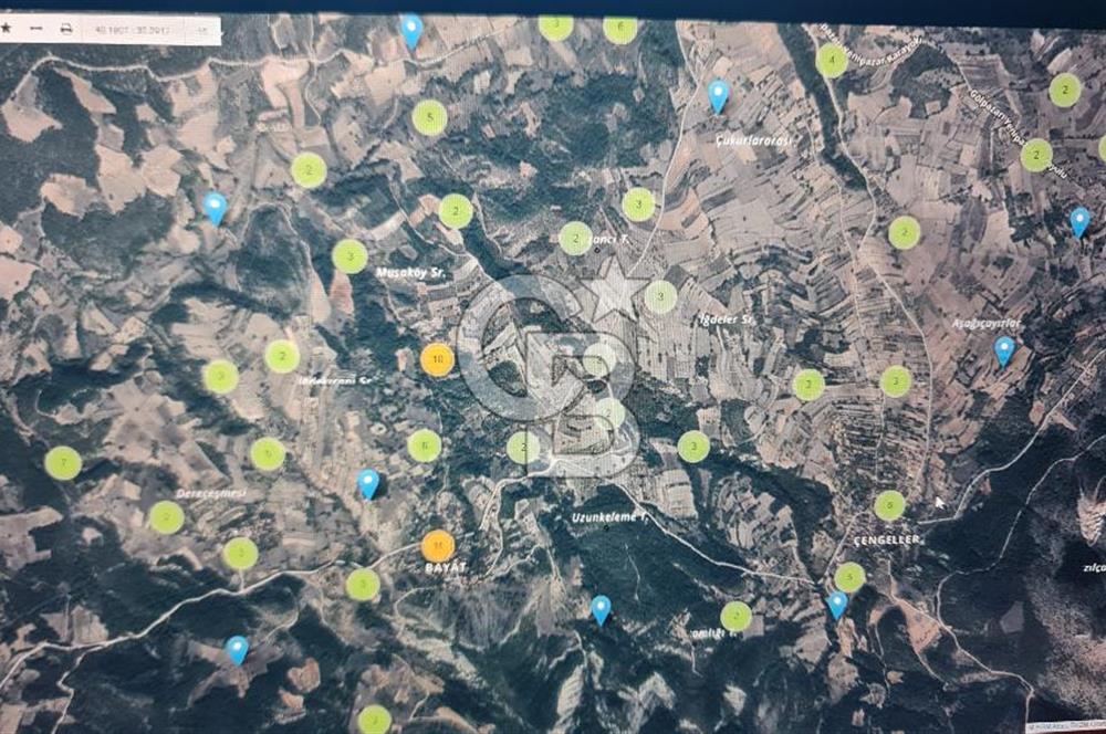 BİLECİK GÖLPAZARI ÇENGELLERDE SATILIK ARAZİ