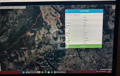BİLECİK GÖLPAZARI BAYATTA SATILIK TARIM ARAZİSİ