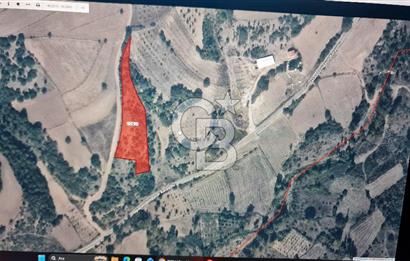 BİLECİK GÖLPAZARI ÇENGELLERDE SATILIK ARAZİ