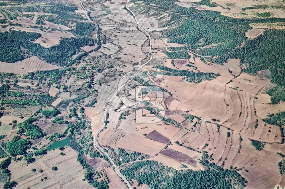 BİLECİK GÖLPAZARI BAYATTA SATILIK TARIM ARAZİSİ