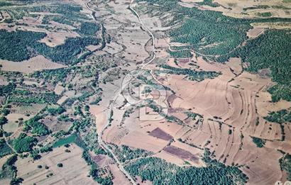 BİLECİK GÖLPAZARI BAYATTA SATILIK TARIM ARAZİSİ