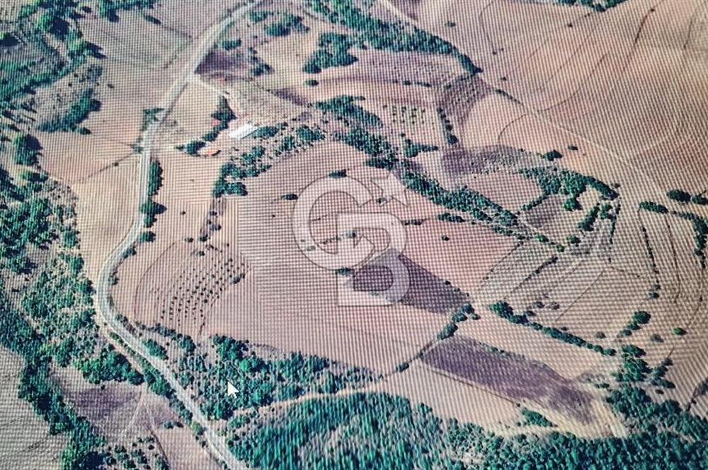 BİLECİK GÖLPAZARI BAYATTA SATILIK TARIM ARAZİSİ