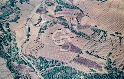 BİLECİK GÖLPAZARI BAYATTA SATILIK TARIM ARAZİSİ