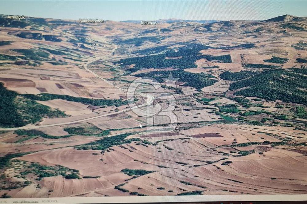 BİLECİK GÖLPAZARI BAYATTA SATILIK TARIM ARAZİSİ