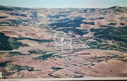 BİLECİK GÖLPAZARI BAYATTA SATILIK TARIM ARAZİSİ