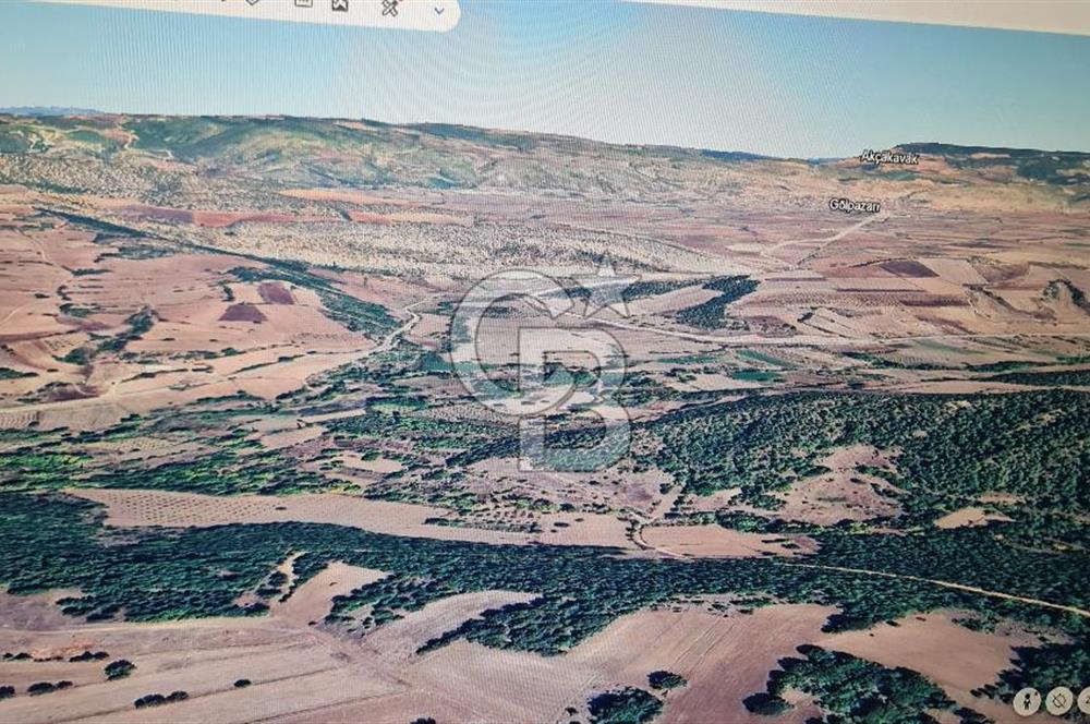 BİLECİK GÖLPAZARI BAYATTA SATILIK TARIM ARAZİSİ
