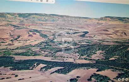 BİLECİK GÖLPAZARI BAYATTA SATILIK TARIM ARAZİSİ