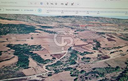 BİLECİK GÖLPAZARI BAYATTA SATILIK TARIM ARAZİSİ