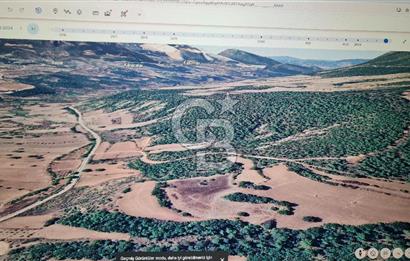 BİLECİK GÖLPAZARI BAYATTA SATILIK TARIM ARAZİSİ