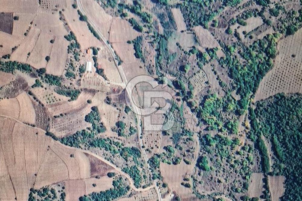 BİLECİK GÖLPAZARI BAYATTA SATILIK TARIM ARAZİSİ