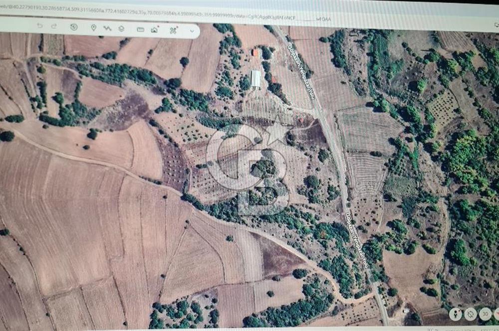 BİLECİK GÖLPAZARI BAYATTA SATILIK TARIM ARAZİSİ