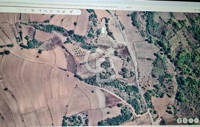 BİLECİK GÖLPAZARI BAYATTA SATILIK TARIM ARAZİSİ