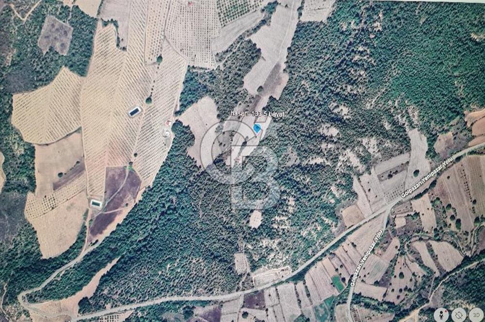 BİLECİK GÖLPAZARI BAYATTA SATILIK TARIM ARAZİSİ