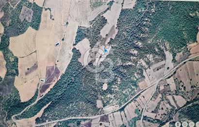 BİLECİK GÖLPAZARI BAYATTA SATILIK TARIM ARAZİSİ