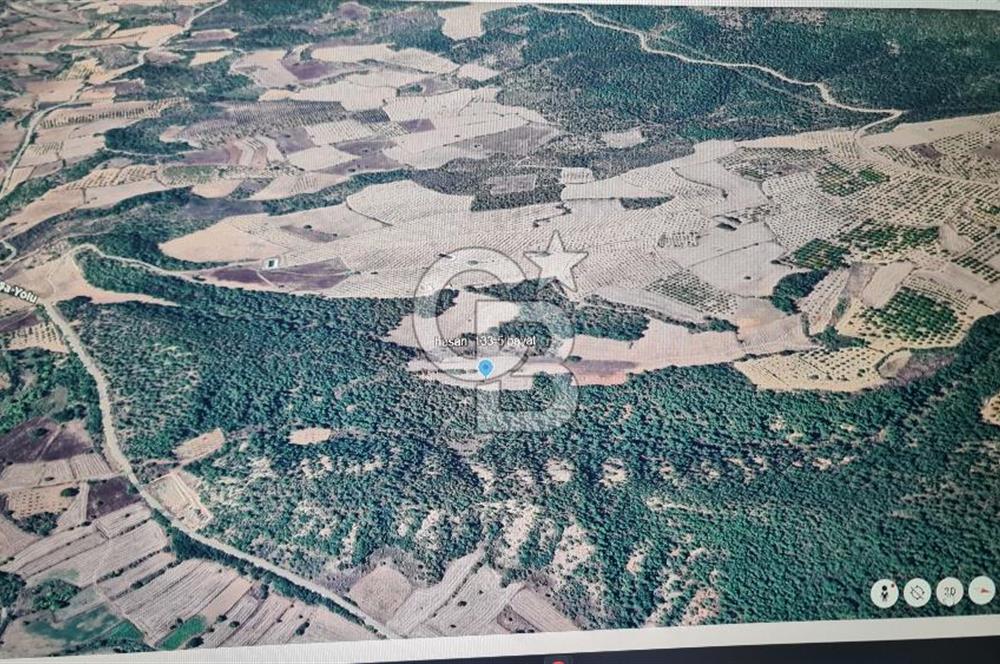 BİLECİK GÖLPAZARI BAYATTA SATILIK TARIM ARAZİSİ