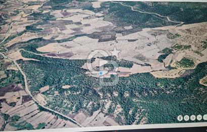 BİLECİK GÖLPAZARI BAYATTA SATILIK TARIM ARAZİSİ