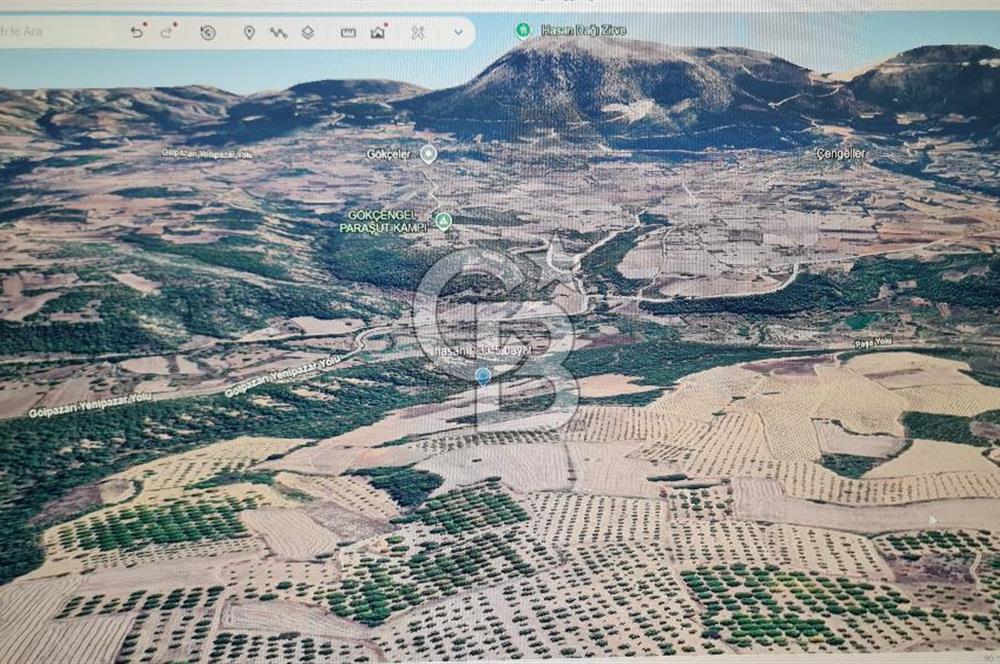 BİLECİK GÖLPAZARI BAYATTA SATILIK TARIM ARAZİSİ