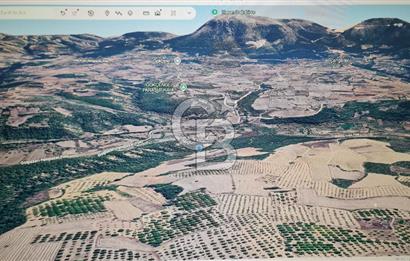 BİLECİK GÖLPAZARI BAYATTA SATILIK TARIM ARAZİSİ