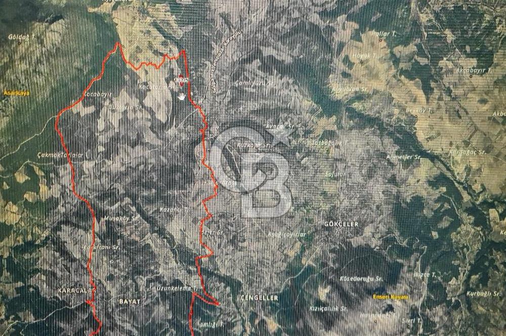 BİLECİK GÖLPAZARI BAYATTA SATILIK TARIM ARAZİSİ