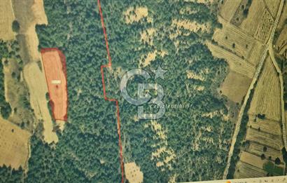 BİLECİK GÖLPAZARI BAYATTA SATILIK TARIM ARAZİSİ