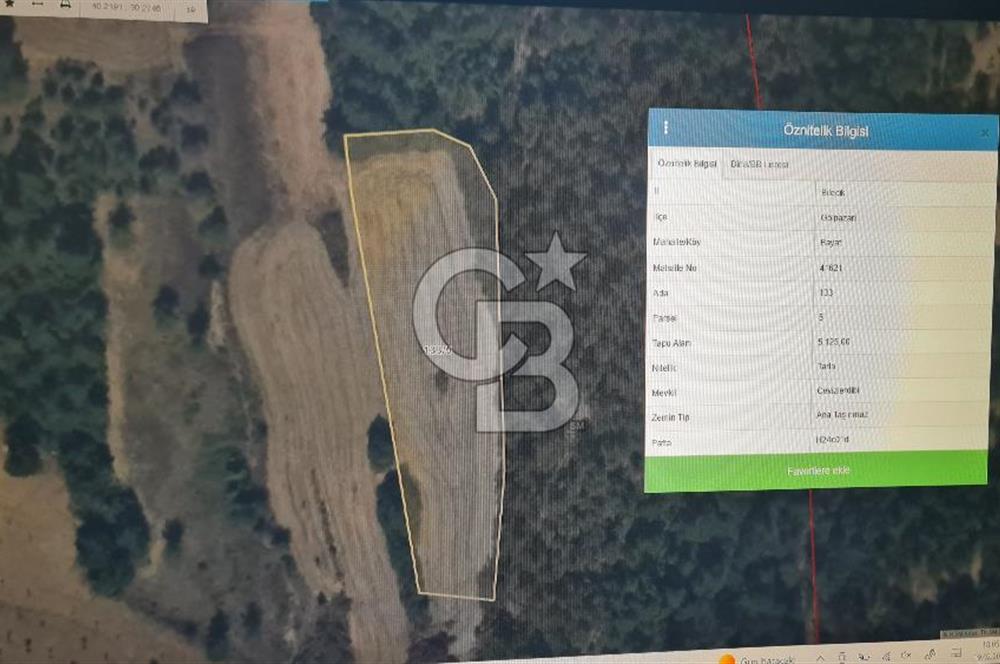 BİLECİK GÖLPAZARI BAYATTA SATILIK TARIM ARAZİSİ