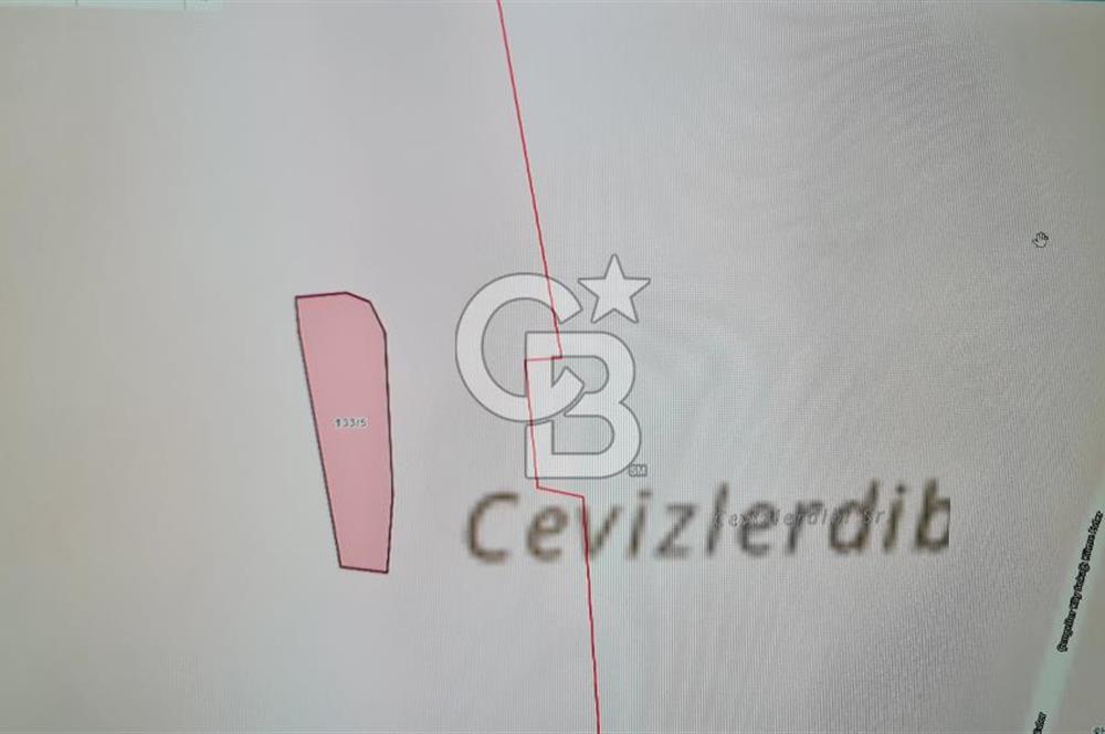 BİLECİK GÖLPAZARI BAYATTA SATILIK TARIM ARAZİSİ