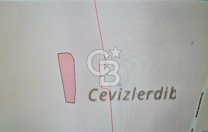 BİLECİK GÖLPAZARI BAYATTA SATILIK TARIM ARAZİSİ