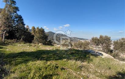 Gaziemir Yeşil Mahalle’de Yolu Olan Önü Açık Manzaralı Parsel