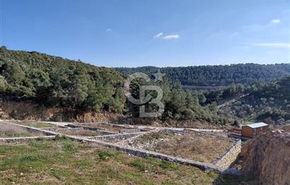 MENDERES ÇATALCA’DA MANZARALI | YOLU AÇIK | ELEKTRİĞİ OLAN PARSEL