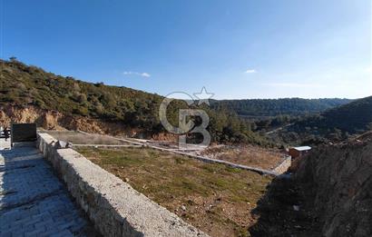 MENDERES ÇATALCA’DA MANZARALI | YOLU AÇIK | ELEKTRİĞİ OLAN PARSEL