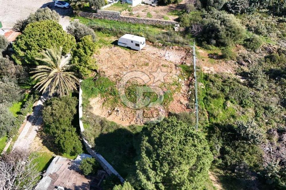 Çeşme Dalyan'da Denize 100 Metre Turizm İmarlı Satılık Arsa