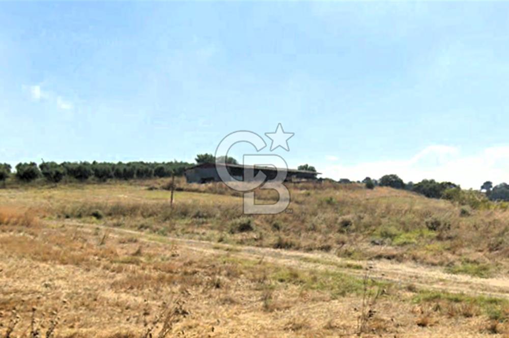 Balıkesir Manyas’ta İskânlı Anahtar teslim 600 m2 Besi Çiftliği