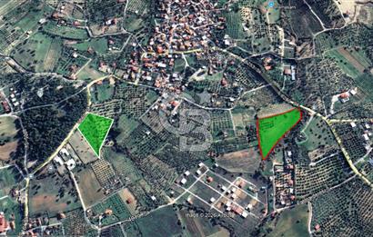 Torbalı Demirci’de Asfalt Cepheli, Fırsat Arazi!