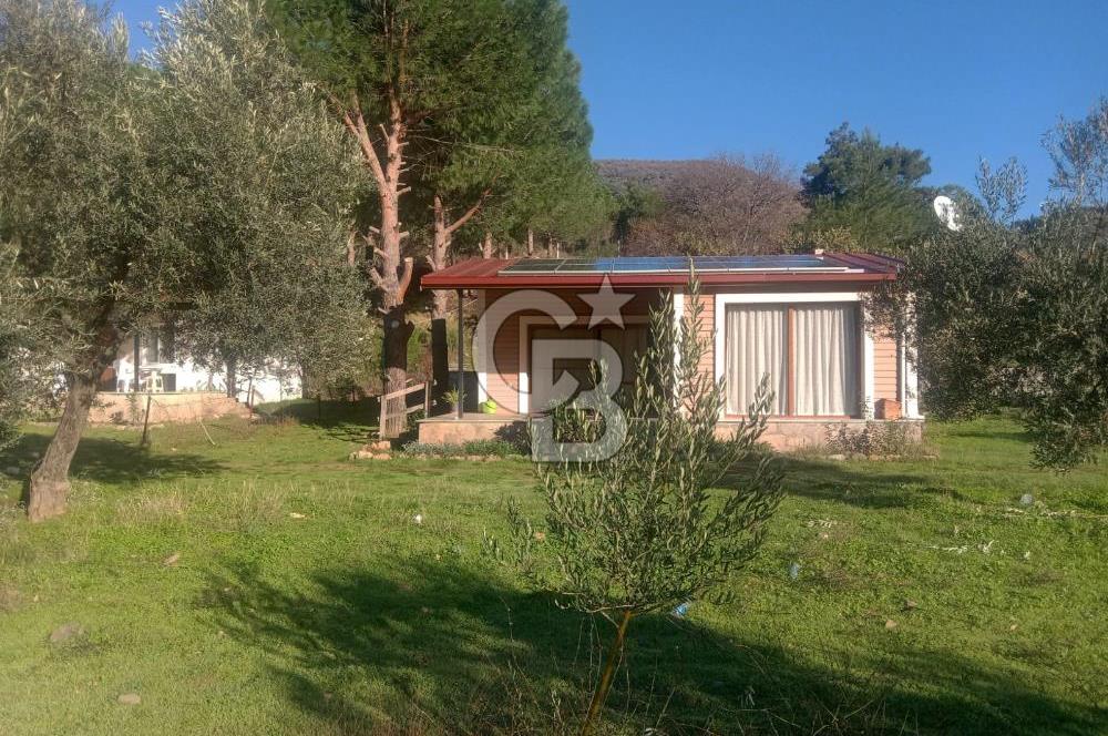 Dikili Turizm İmarlı İçinde 3 Adet Çiftlik Evi 11.450M2 Satılık