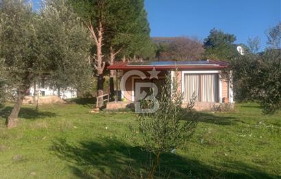 Dikili Turizm İmarlı İçinde 3 Adet Çiftlik Evi 11.450M2 Satılık