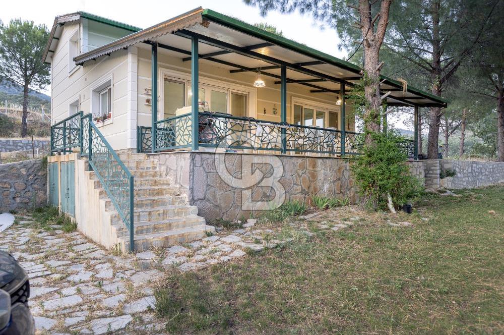 Dikili Turizm İmarlı İçinde 3 Adet Çiftlik Evi 11.450M2 Satılık