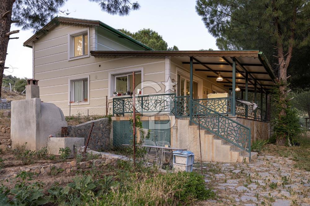 Dikili Turizm İmarlı İçinde 3 Adet Çiftlik Evi 11.450M2 Satılık