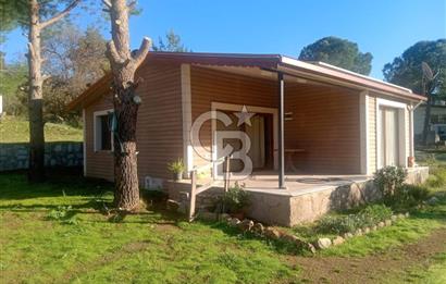 Dikili Turizm İmarlı İçinde 3 Adet Çiftlik Evi 11.450M2 Satılık