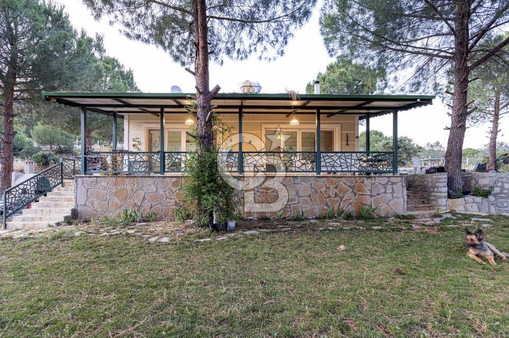 Dikili Turizm İmarlı İçinde 3 Adet Çiftlik Evi 11.450M2 Satılık