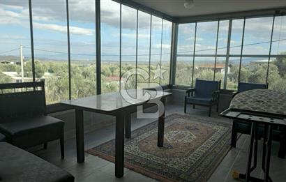 Kemalpaşa Ören’de Satılık Besi Damlı Çiftlik Evi