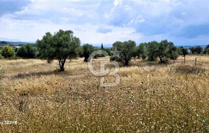 Torbalı Demirci’de Asfalt Cepheli, Fırsat Arazi!