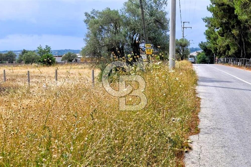 Torbalı Demirci’de Asfalt Cepheli, Fırsat Arazi!