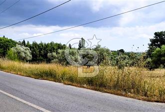 Torbalı Demirci’de Asfalt Cepheli, Fırsat Arazi! - 1 - 335170