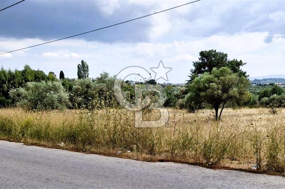 Torbalı Demirci’de Asfalt Cepheli, Fırsat Arazi!