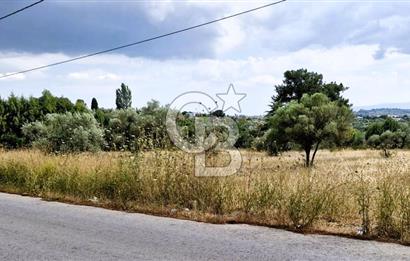 Torbalı Demirci’de Asfalt Cepheli, Fırsat Arazi!