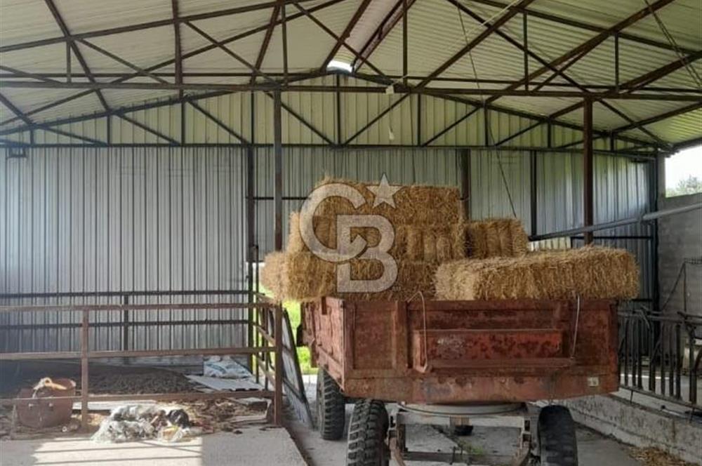 Balıkesir Manyas’ta İskânlı Anahtar teslim 600 m2 Besi Çiftliği