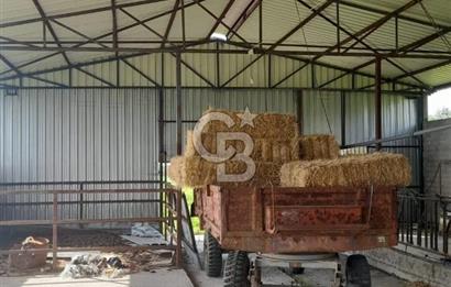 Balıkesir Manyas’ta İskânlı Anahtar teslim 600 m2 Besi Çiftliği