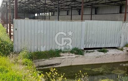 Balıkesir Manyas’ta İskânlı Anahtar teslim 600 m2 Besi Çiftliği